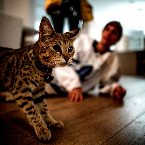 lilbieber instagram image archive image