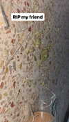 s111y_ccc0nt3 Altpins Profile Picture