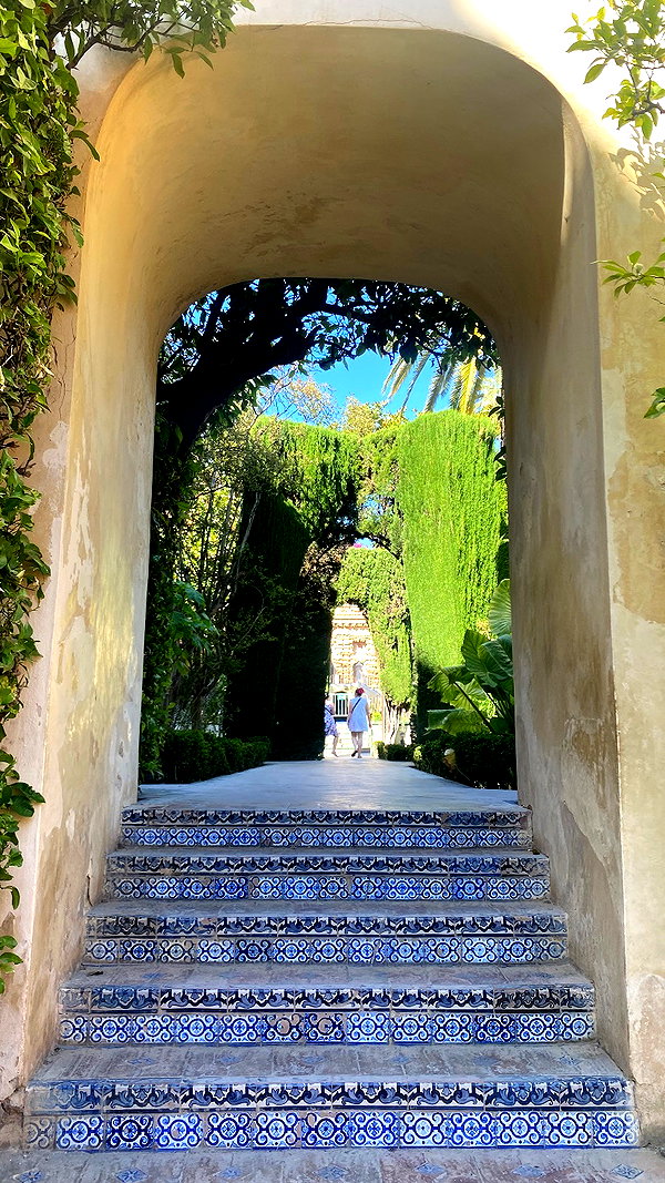 Archived image from @yam_adler on Instagram
