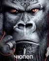 kriskaik Altpins Profile Picture