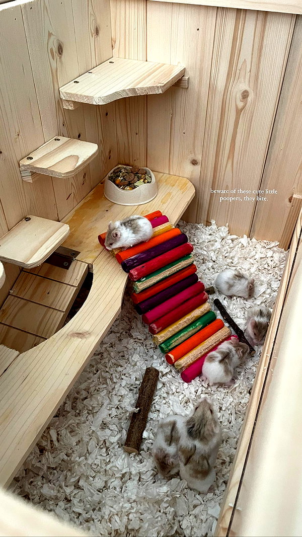 777pb_ instagram image archive image