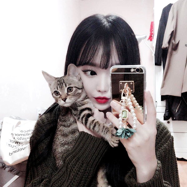 daxbin instagram image archive image