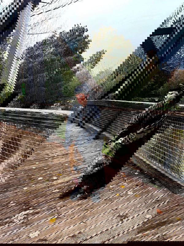 strawberryshanz strawberryshanz archive image