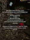 hilla.sela Altpins Profile Picture