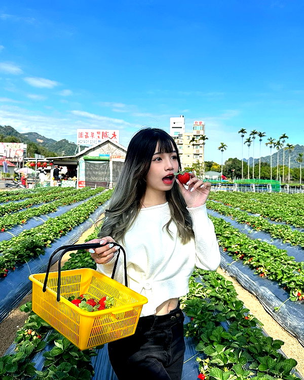 ____sy.02 instagram image archive image