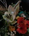 gisellelee8 Altpins Profile Picture