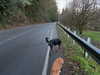 cialikechia Altpins Profile Picture
