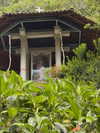 vampira_swami Altpins Profile Picture