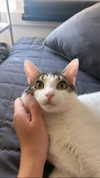 yuna_1_27 Altpins Profile Picture