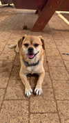 alma.almog Altpins Profile Picture