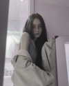 amanitalis Altpins Profile Picture