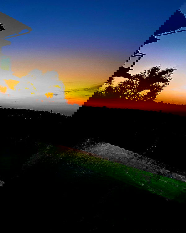 taylor.creeden taylor.creeden archive image