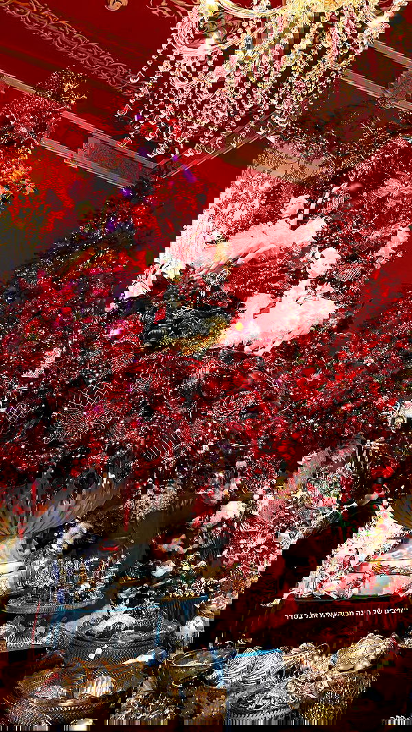 shanidahan7 image ~ Altpins