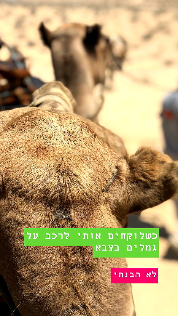 romi_henenson instagram image archive image