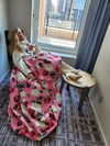 celinedion Altpins Profile Picture