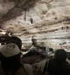 biohazard.g1rl Altpins Profile Picture