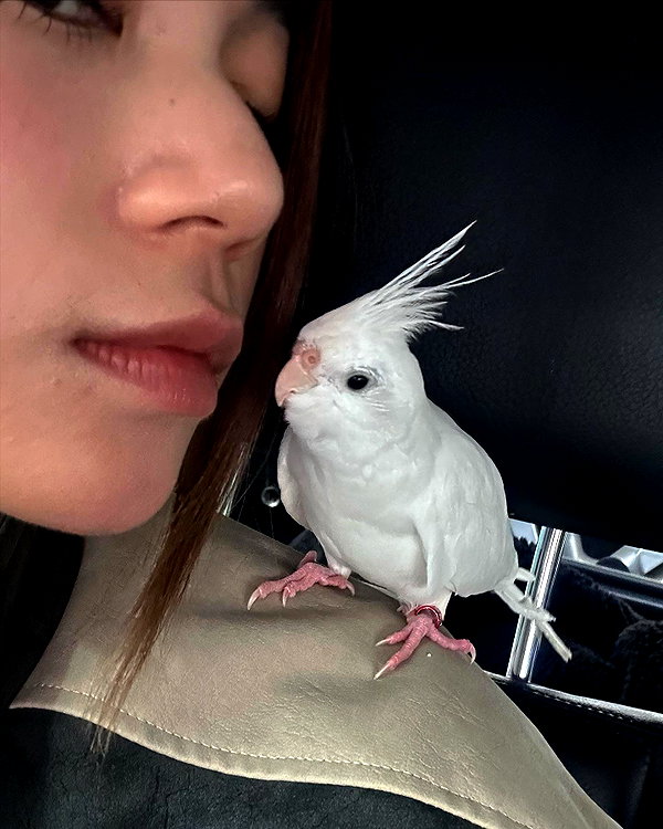 kelseydopegal instagram image archive image