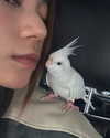 kelseydopegal Altpins Profile Picture