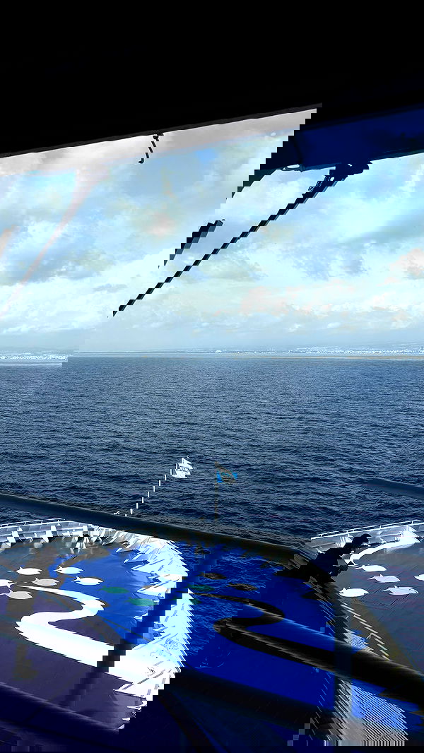 noammalka___ noammalka___ archive image