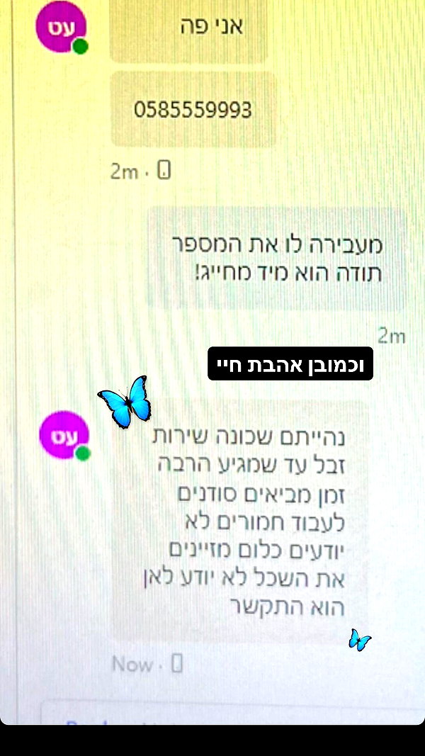 noasoophia instagram image archive image