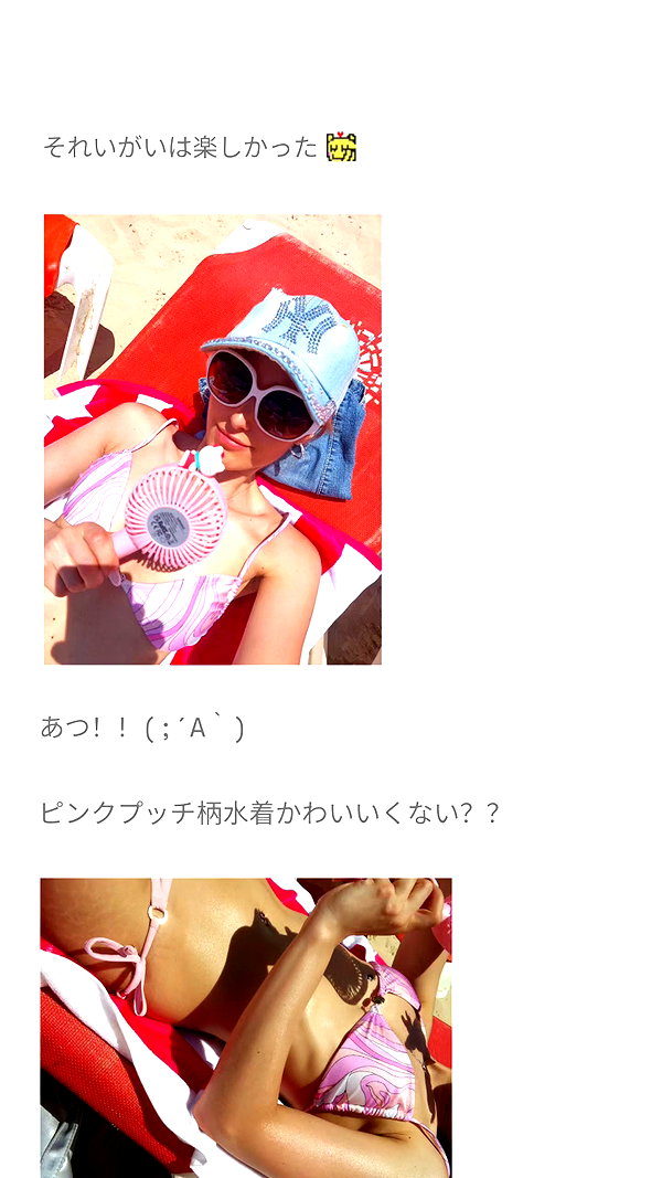 piyokoblog archive image