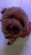 kteaworld Altpins Profile Picture