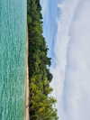 michalcohen___ Altpins Profile Picture