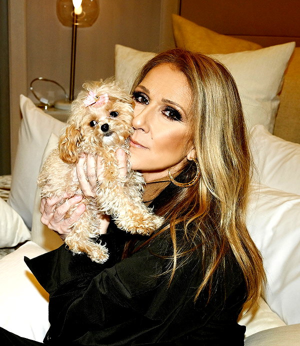 celinedion instagram image archive image