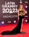 shakira Altpins Profile Picture