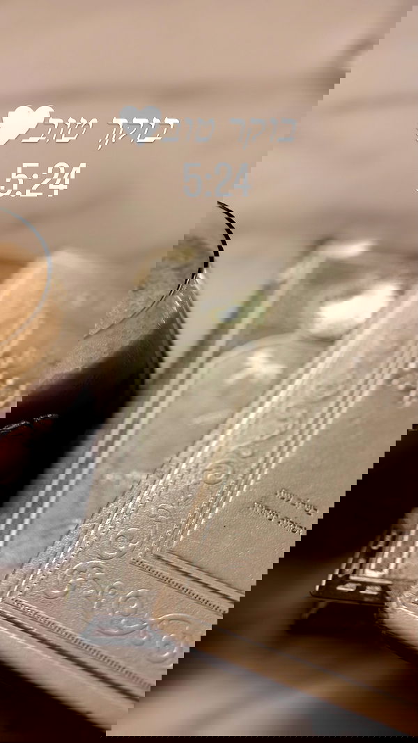 liad.arazi liad.arazi archive image