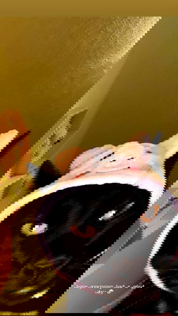 suikomuu suikomuu archive image