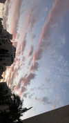 stav_menashe_ Altpins Profile Picture