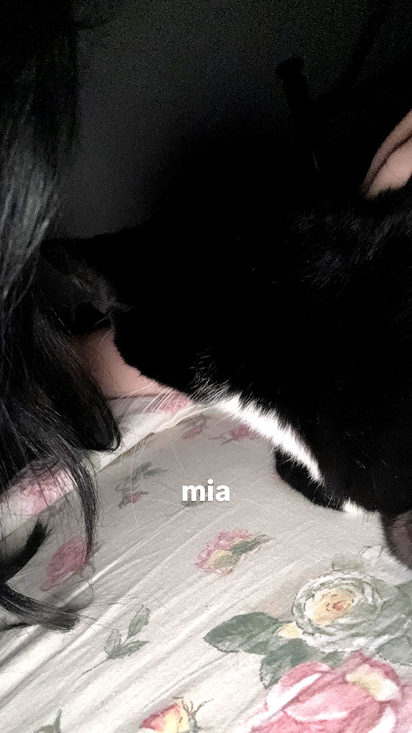 vampiryska instagram image archive image