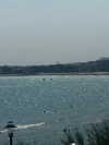 alma_ck_ Altpins Profile Picture