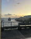 daisy_r_19 Altpins Profile Picture