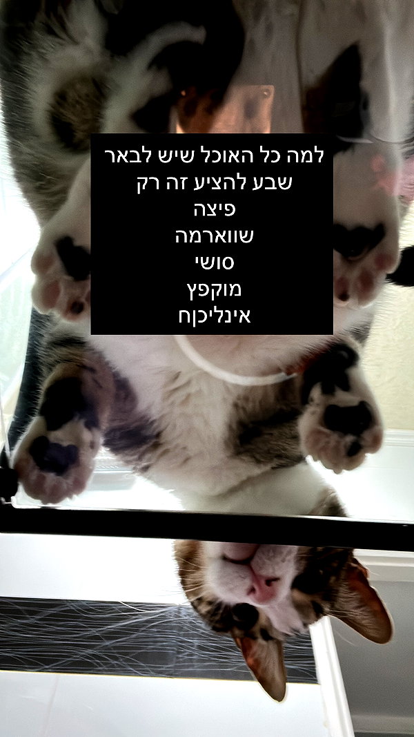 lila.garnik instagram image archive image