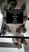 lila.garnik Altpins Profile Picture