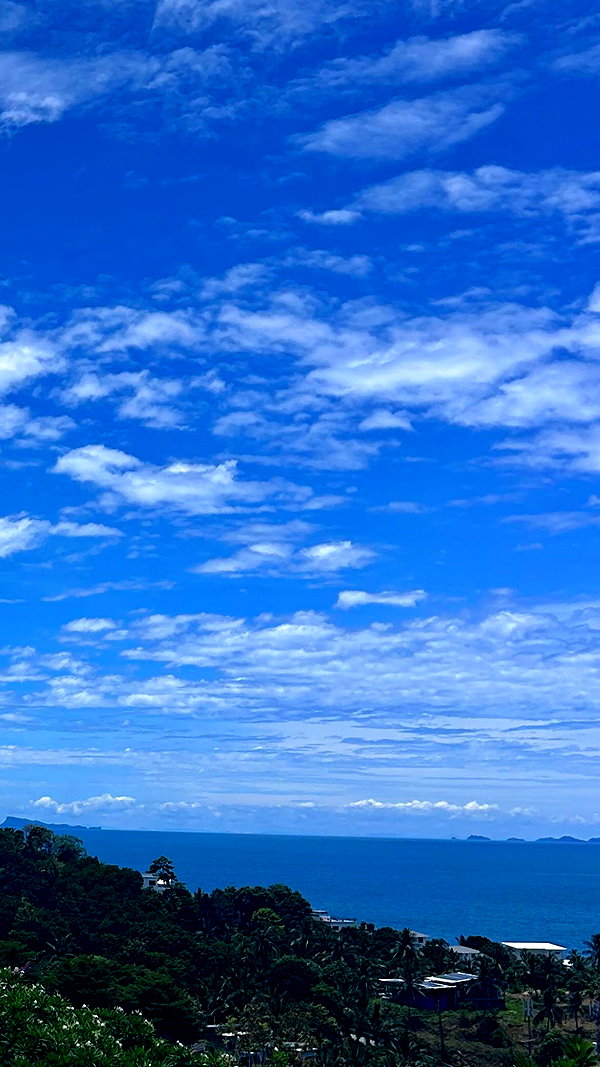 tamar_tsur instagram image archive image