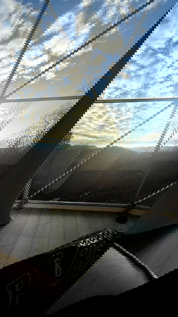 zommmbri zommmbri archive image