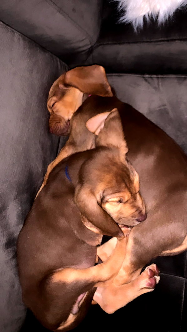arianagrande instagram image archive image
