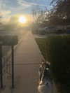 astarwbry_ Altpins Profile Picture