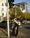 zarinamartinna Altpins Profile Picture
