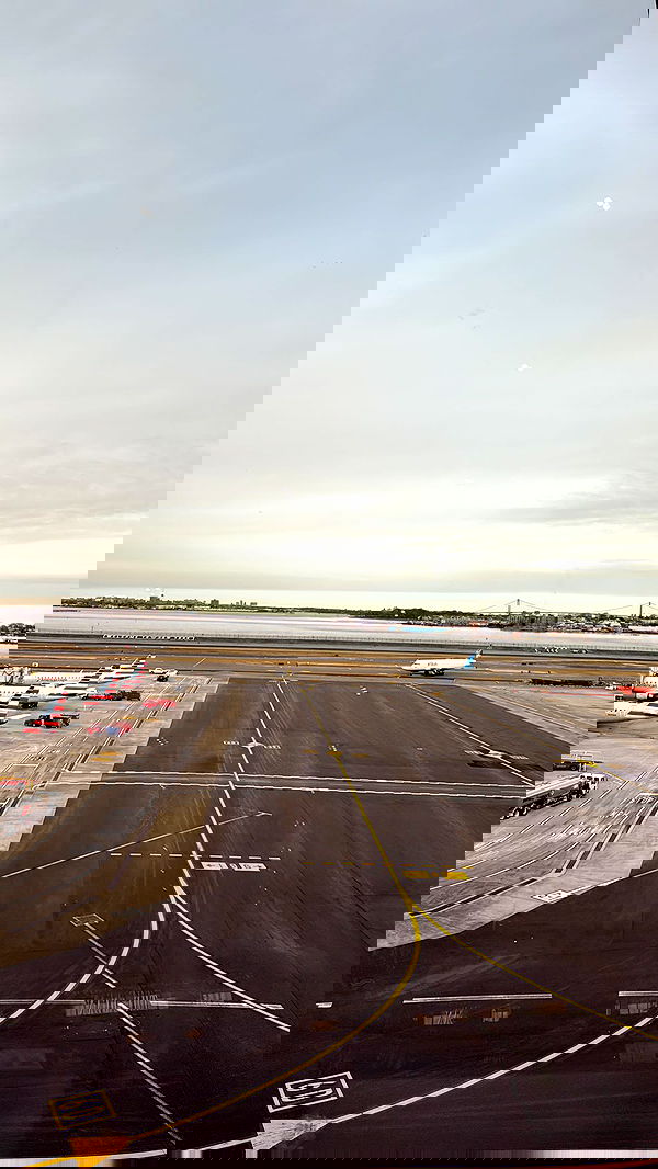 biton__adi biton__adi archive image