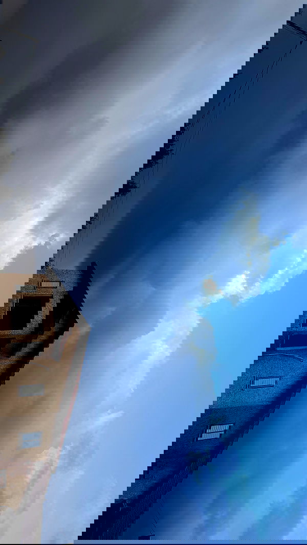 efrat_elmalich efrat_elmalich archive image