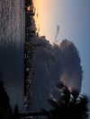misariding Altpins Profile Picture