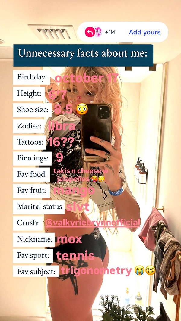 pixelpuppi instagram image archive image