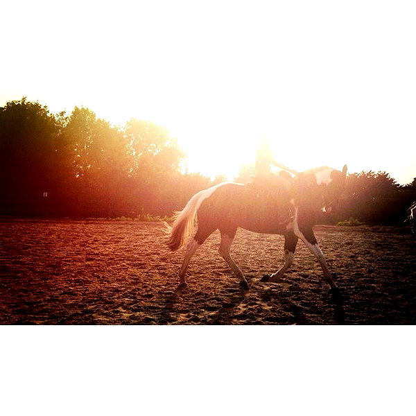 kafelnikova_a instagram image archive image