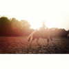 kafelnikova_a Altpins Profile Picture