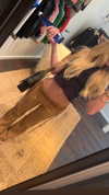 skylasanders Altpins Profile Picture