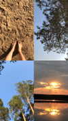 nasstellaa Altpins Profile Picture